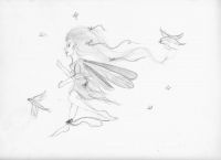 Running with the Wind